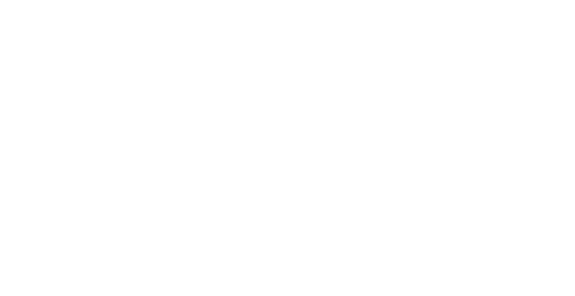 NPAQ Logo All White